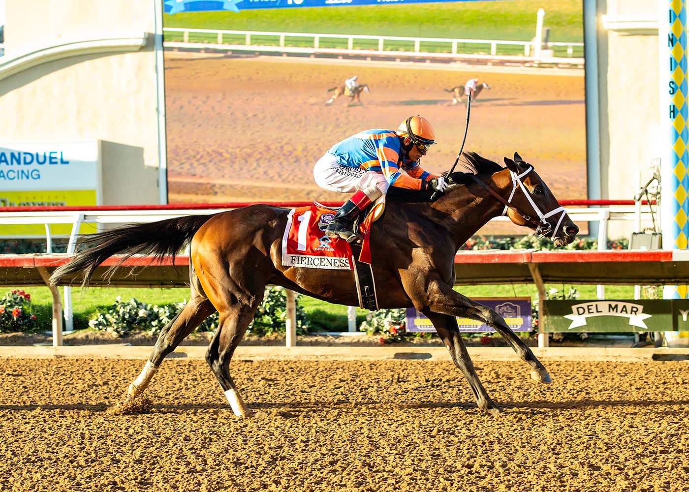 Breeders' Cup Classic Buzz: Todd Pletcher Not Concerned About