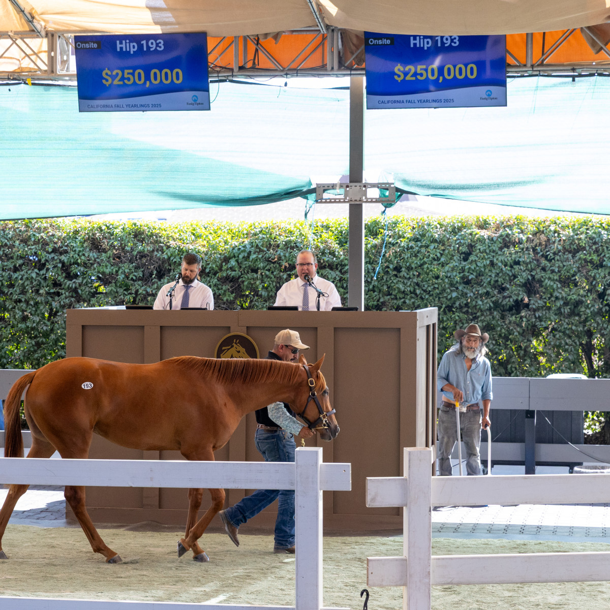 Corniche Filly Tops 2025 Fasig-Tipton California Fall Yearlings