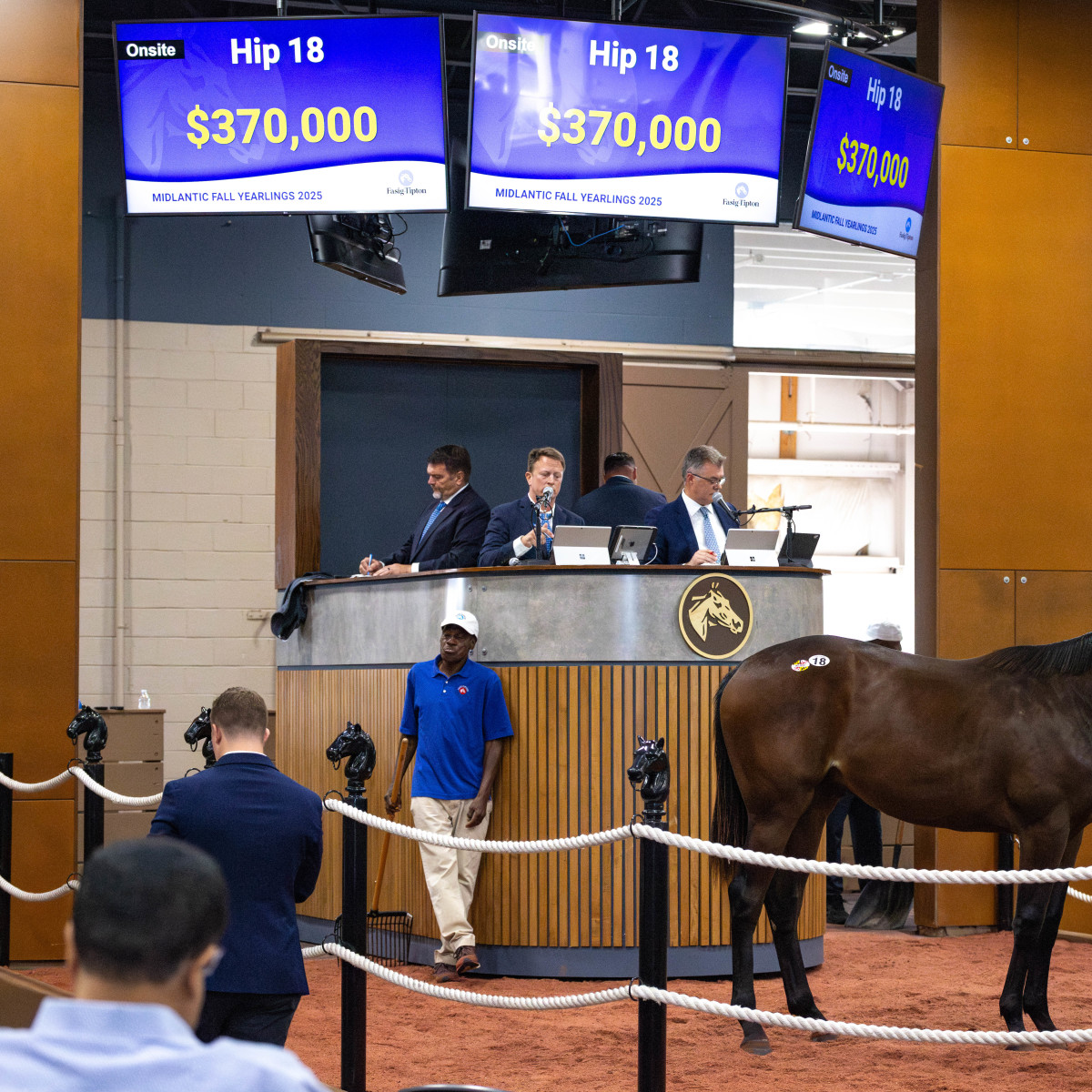 Maryland-Bred Nyquist Colt Leads The Way At 2025 Fasig-Tipton