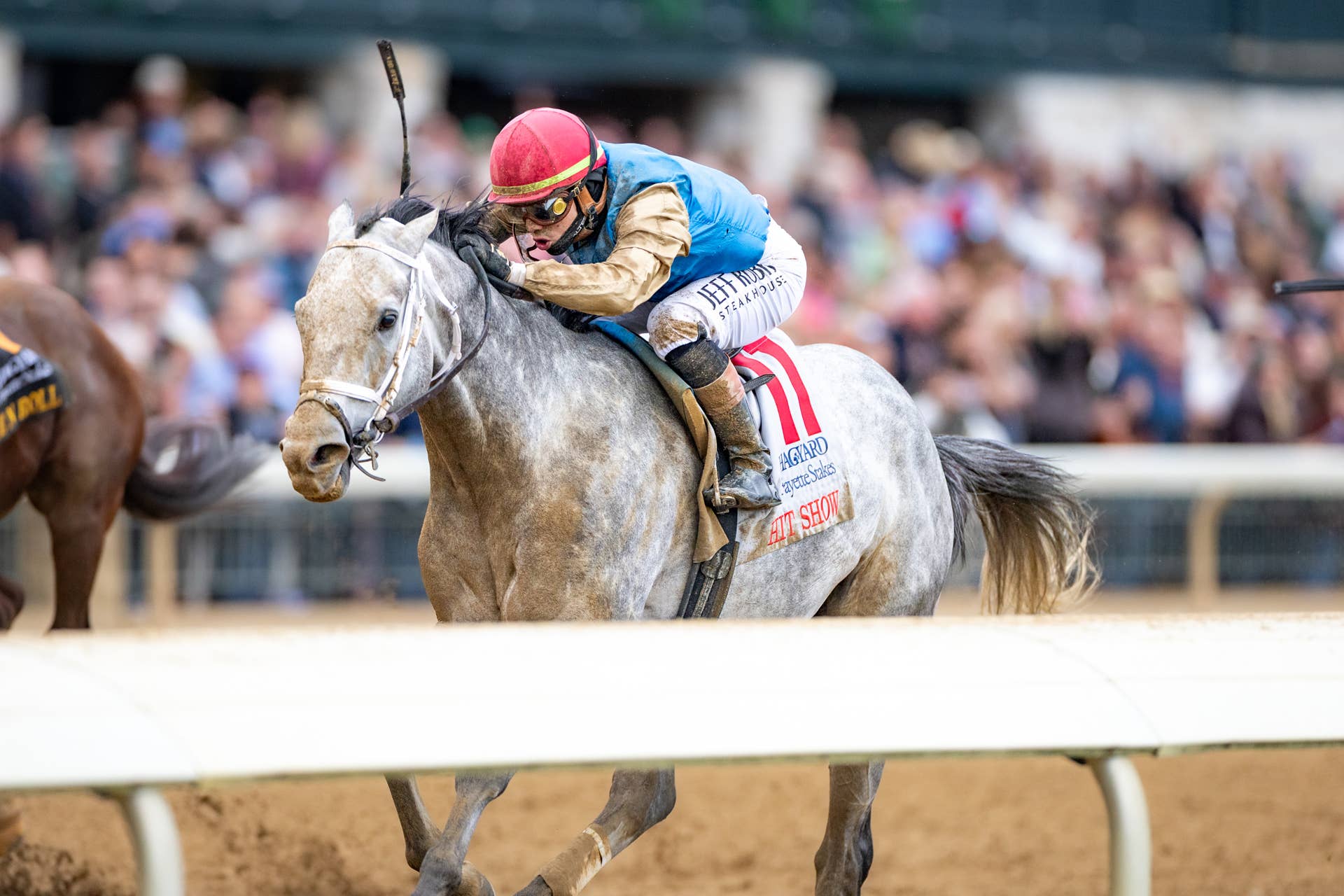 Dubai World Cup Winner Hit Show Favored In Clark Stakes - Paulick