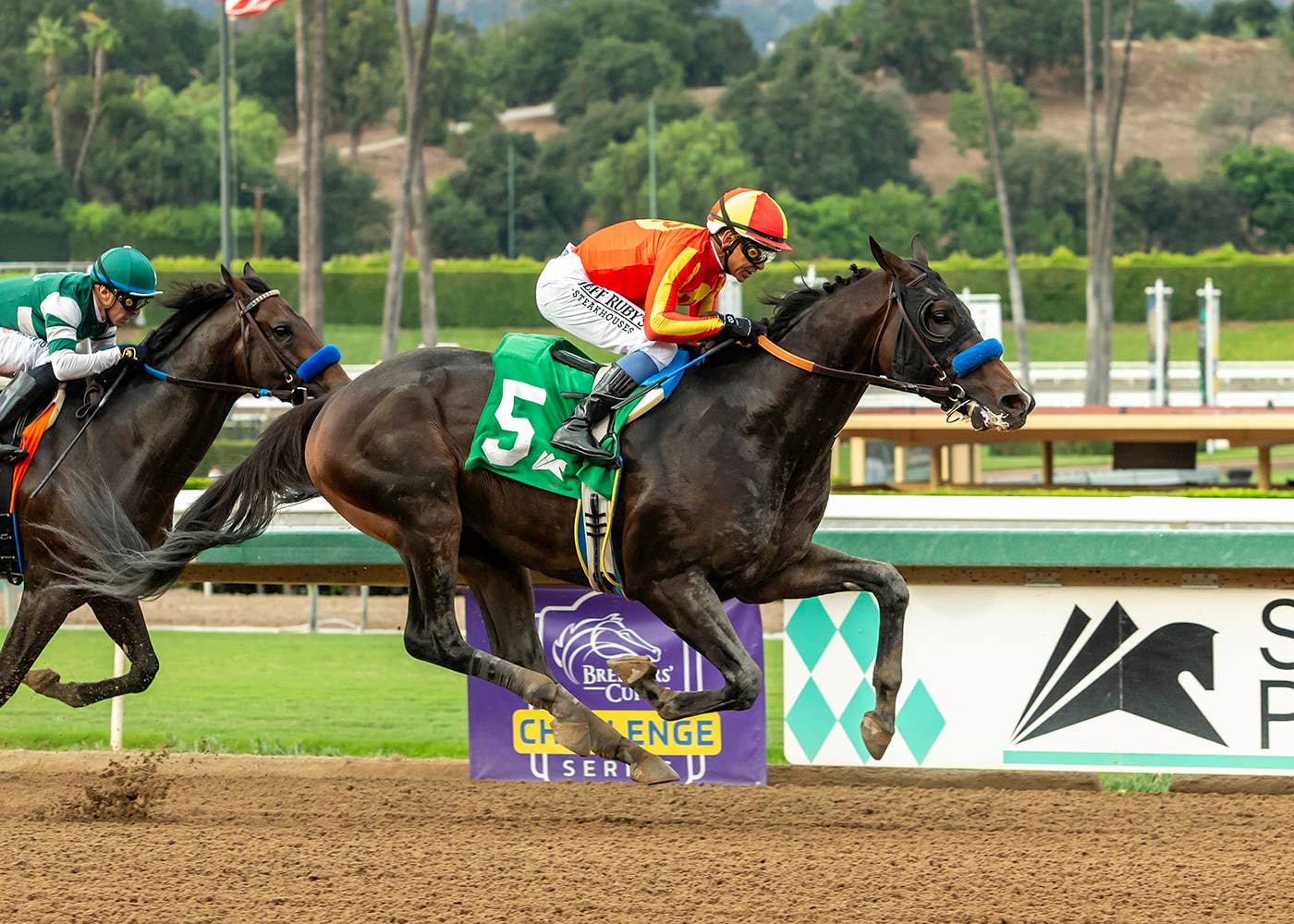 Bob Baffert Aims For Fifth Breeders' Cup Classic Win With Nevada