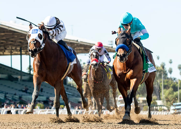 Big City Lights Pips Pacesetter Hopkins On Line To Win Palos Verdes ...