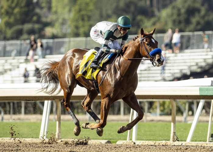 Undefeated Kinza Leads Field Of Five For Santa Anita Oaks Paulick