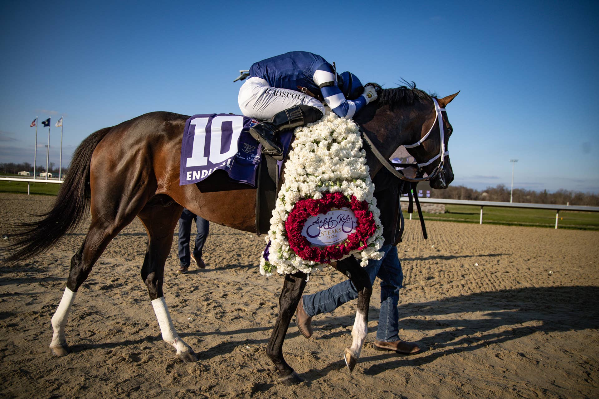 Bloodlines Presented By Walmac Farm: 