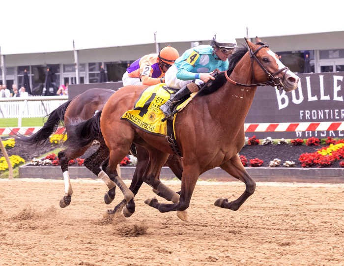 Equibase Analysis: Pyrenees Poised To Upset Stephen Foster - Paulick ...