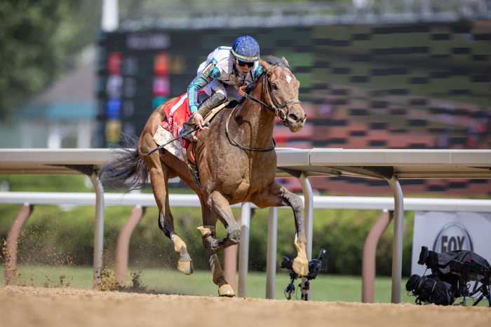 Book'Em Danno May Aim For Saudi Cup After Cigar Mile - Paulick Report ...