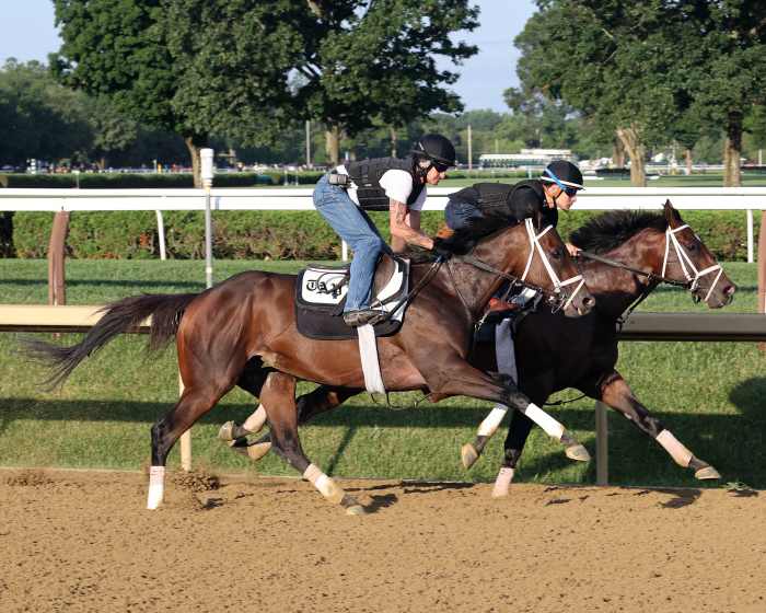 Fierceness Moving 'Very Willingly' In First Work Since Jim Dandy ...