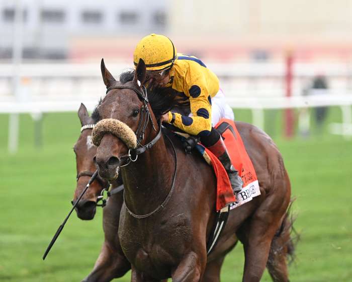 Far Bridge Deprives War Like Goddess Of Joe Hirsch Threepeat Paulick