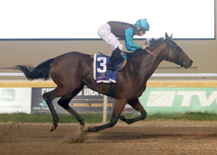 Reigning Horse Of The Meet Miss Code West Heavily Favored In Oklahoma