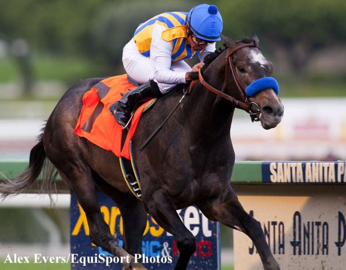 The Factor preps for BC in Ancient Title; Crown of Thorns tries turf in ...