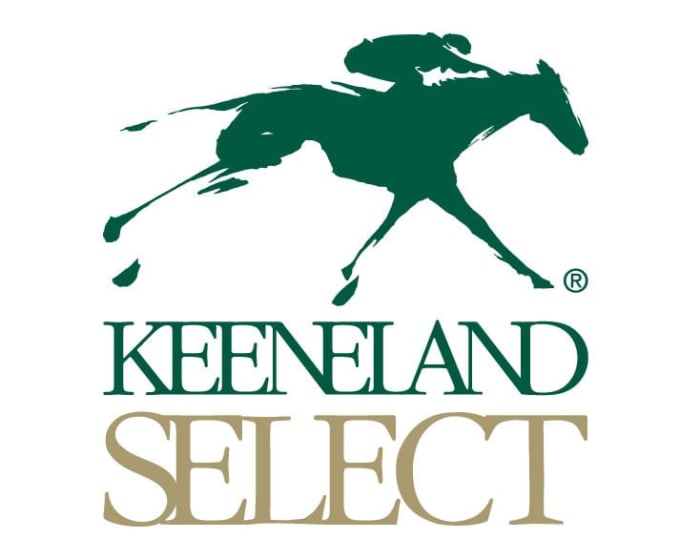 Keeneland's new ADW site up and running Paulick Report Shining