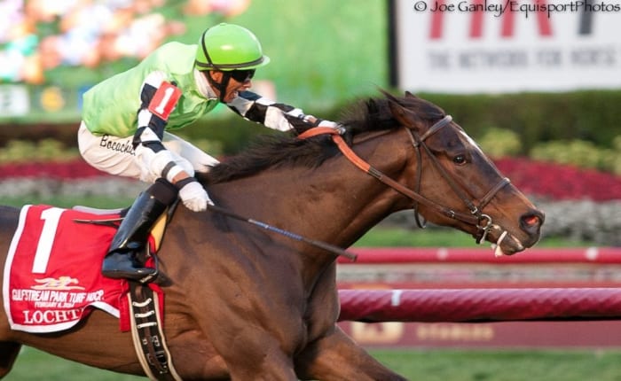 Lochte Rides Rail to Upset Gulfstream Turf Handicap - Paulick Report ...