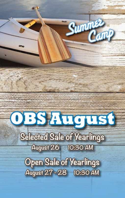 OBS August Yearling Sale Catalog Now Online Paulick Report Latest
