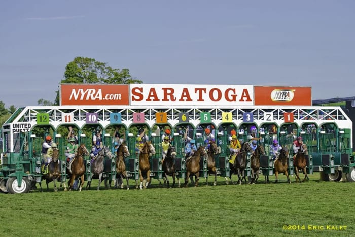 Maureen Lewi Elected Chair Of Concerned Citizens For Saratoga Racing ...