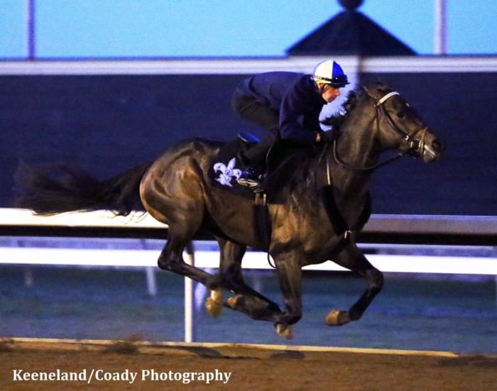 Exaggerator Turns In 'Strong' Work For Juvenile - Paulick Report ...