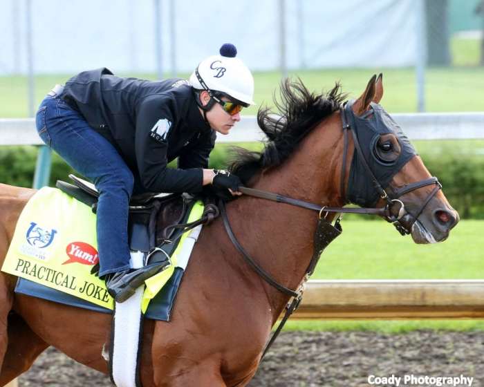 Practical Joke Headlines Dwyer Off FifthPlace Kentucky Derby Effort