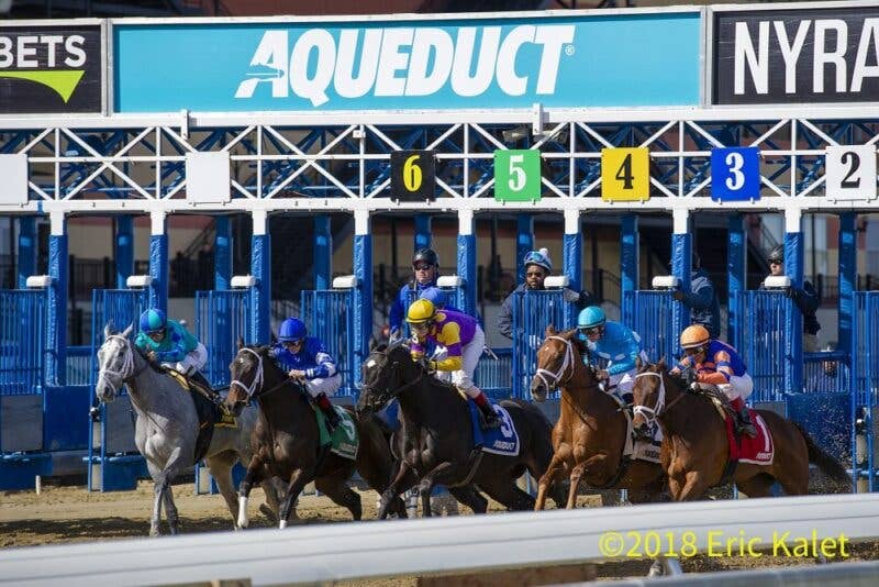 Racing At Aqueduct Suspended Through April 5; Training At Belmont To ...