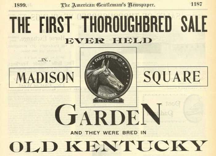 FasigTipton And Madison Square Garden Grew Up Together Paulick