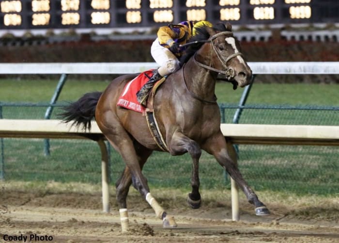 Signalman Scores Derby Points With Game Kentucky Jockey Club Win