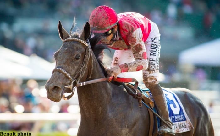 Keeneland Presents American Graded Stakes Standings: Bargain Oaks ...