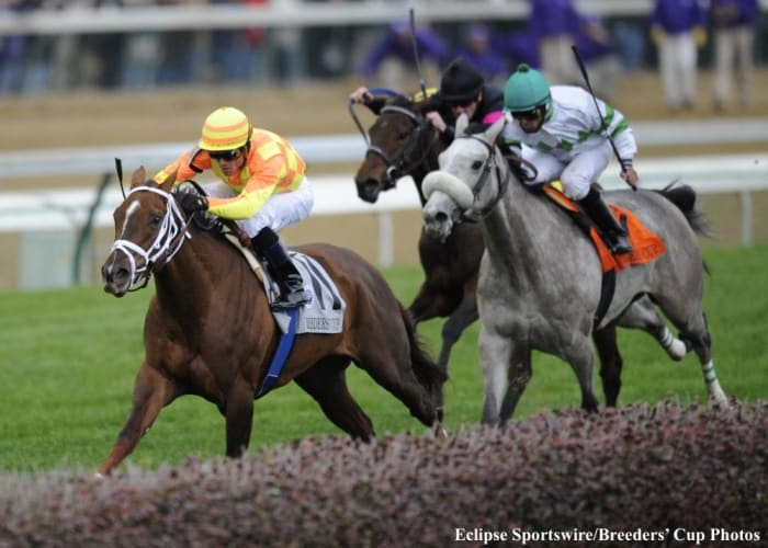 Best Of The Breeders' Cup Presented By Juvenile Fillies And