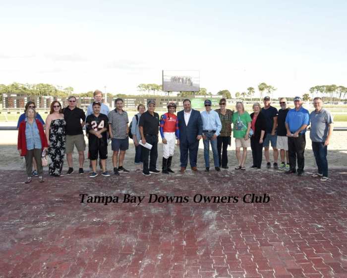 War Bridle New 'Owners' In Inaugural Tampa Bay Contest