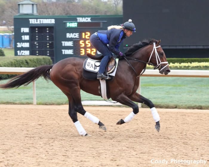Weekend Lineup Sophomores At Oaklawn Paulick Report Shining Light weekend-lineup-sophomores-at-oaklawn-paulick-report-shining-light
