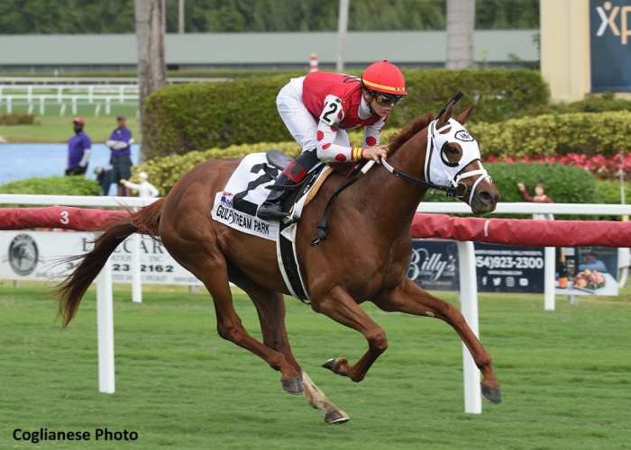 Louder Than Bombs Hopes To Make Noise Against Henley's Joy