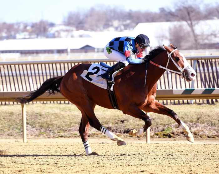 Hoffa's Union, Two Other Contestants In Wood Memorial, Among Late