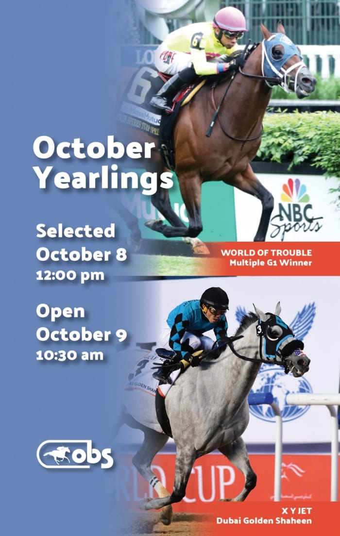 OBS October Yearling Sale Catalog Draws 597 Entries Paulick Report