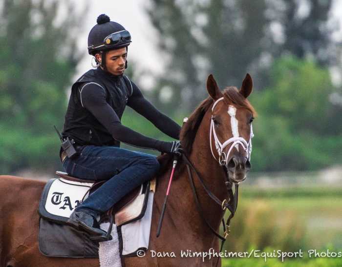 Kentucky Derby Pedigree Corner Master Fencer, Spinoff, Gray Magician