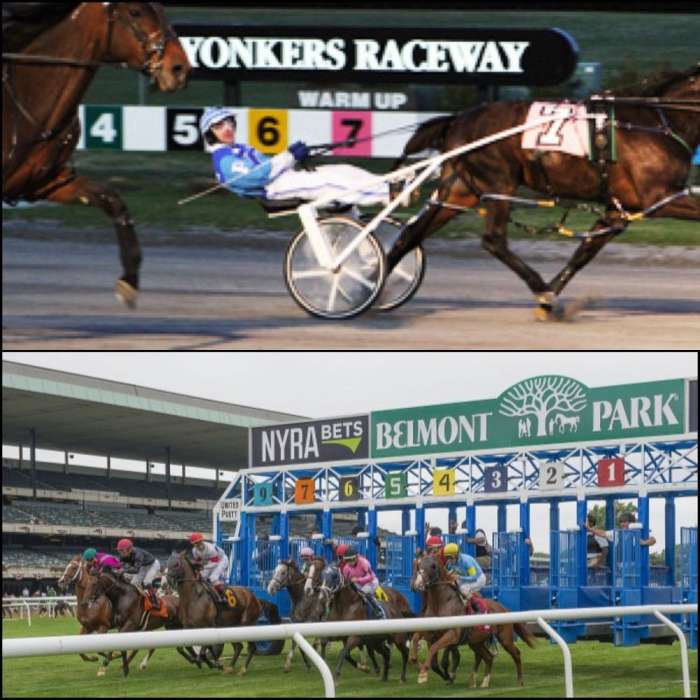 Belmont And Yonkers Offer Thoroughbred/Standardbred Pick 4 On Oct. 13 Paulick Report Shining