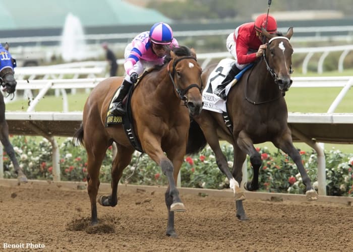 Equibase Analysis Del Mar Debutante Could Be Ticket To Breeders' Cup