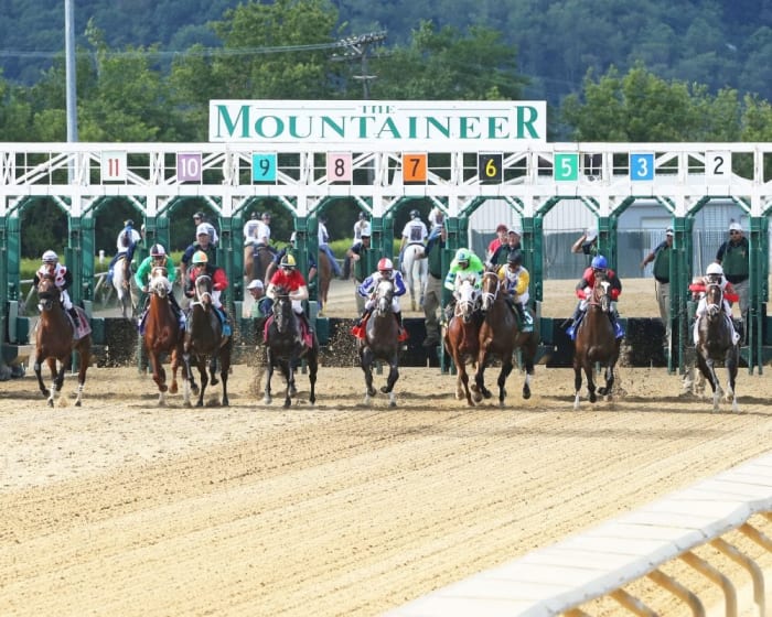 No Vet During Training? HISA Visits Mountaineer Park, Has Option To ...