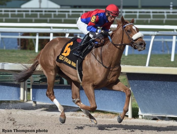 Swiss Skydiver Leads All The Way To Win Gulfstream Park Oaks - Paulick ...