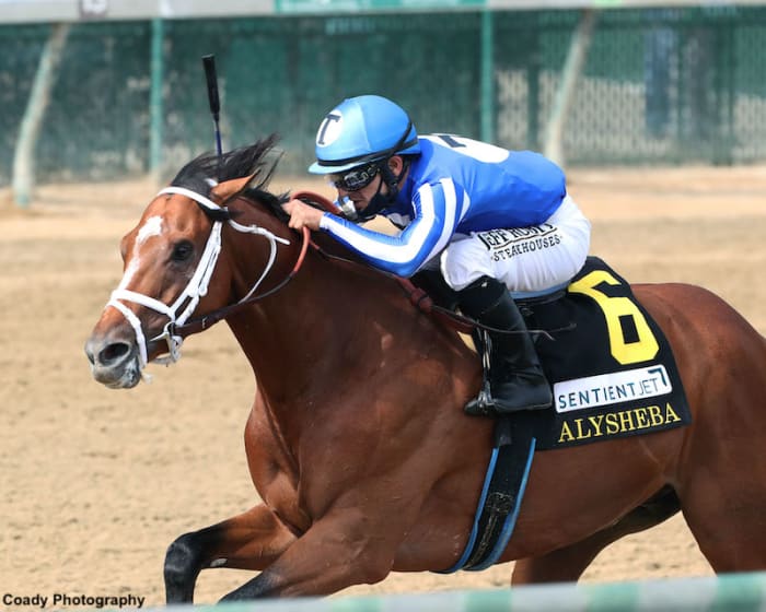 By My Standards Shows Grit In Alysheba Stakes Victory Paulick Report Shining Light on the