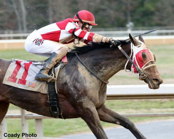 Whoa Nellie Hopes To Fire Fresh In Chilukki Stakes Paulick Report