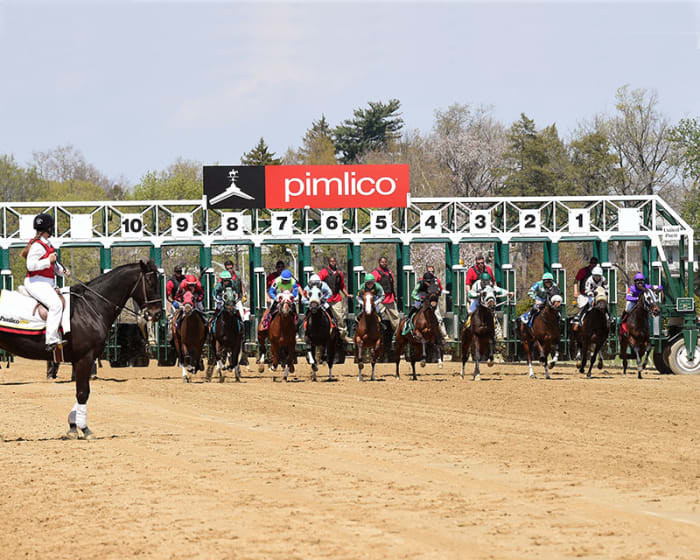 Pair Of SixFigure Carryovers Featured On Friday Card At Pimlico