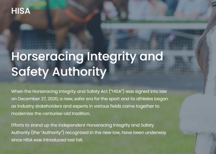 Board of Directors, Standing Committee Members Named For Horseracing ...