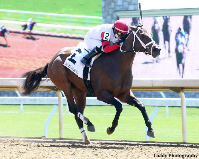 Keeneland Has 78 Horses Of Racing Age Catalogued For Monday's Sale
