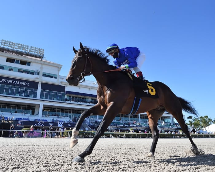 'All Others' Favored At 31 In Kentucky Derby Future Wager Pool 3; Life