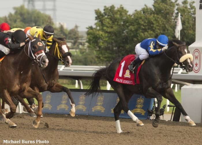 Carroll, Co-Breeder Of Champion Female Sprinter Maryfield, Passes At ...