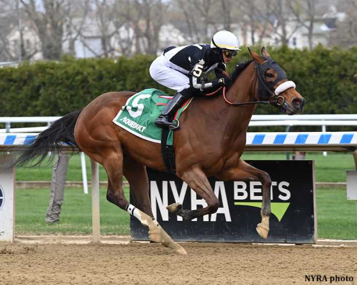 Addition Of Blinkers Helps Shaker Shack Score In NYSS Park Avenue ...