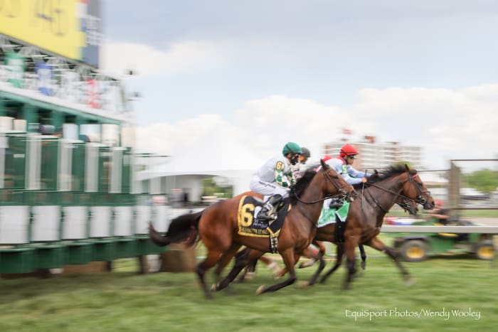 Pimlico Racing Returns Friday With $315,625 Rainbow 6 Carryover ...