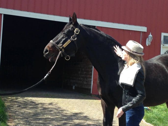 Kentucky Derby Winner Grindstone Dies At Age 29 Paulick Report