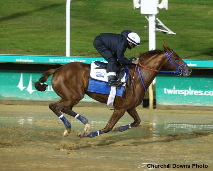 Breeders' Cup Contenders Work At Churchill Downs Saturday Paulick