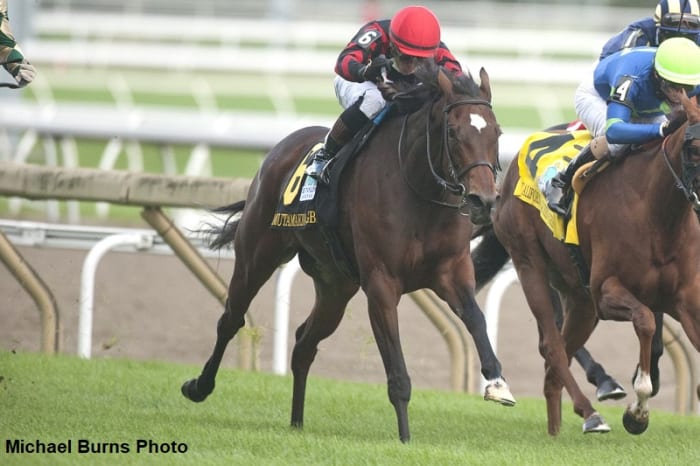 Mutamakina Gets The Win In E. P. Taylor At Woodbine - Paulick Report ...