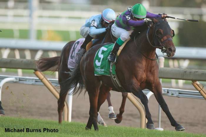 Avie's Flatter Returns to Winner's Circle In Nearctic Stakes At ...