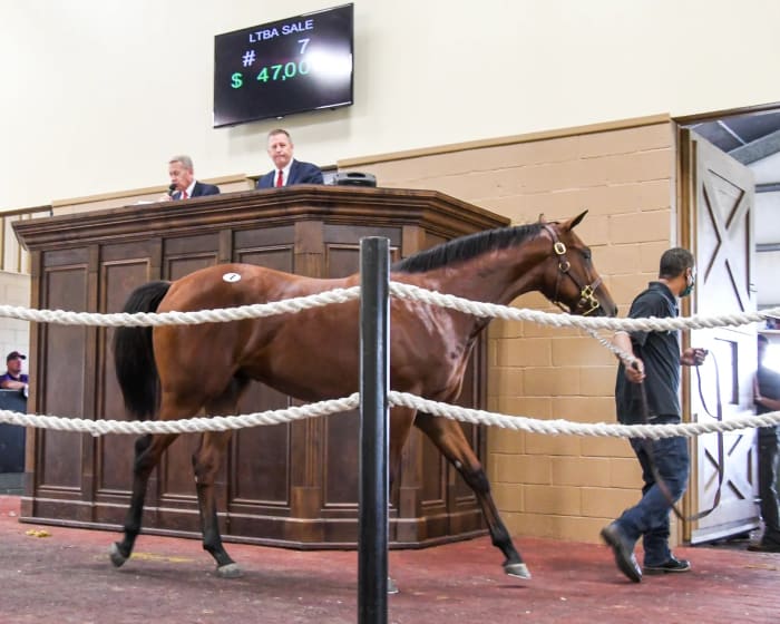 Louisiana's 2022 Yearling, Mixed Sale Catalogs Over 160 Entries