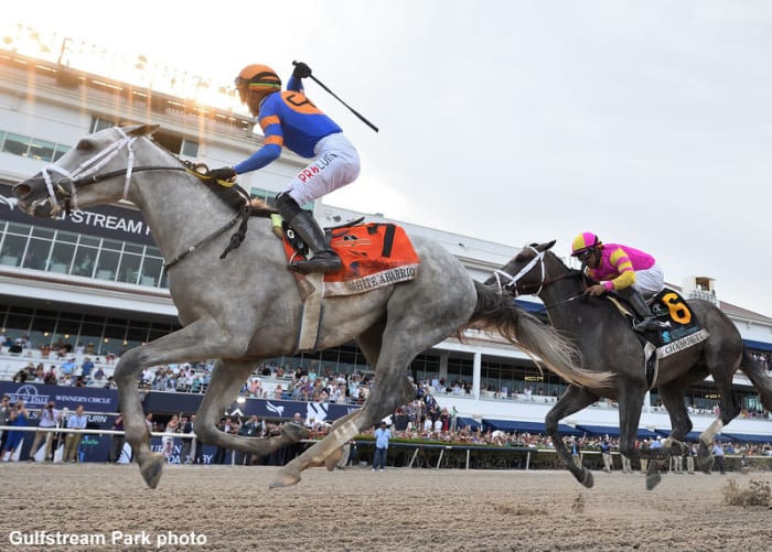 Grade 1 Winners White Abarrio, Zandon To Meet In Competitive ...